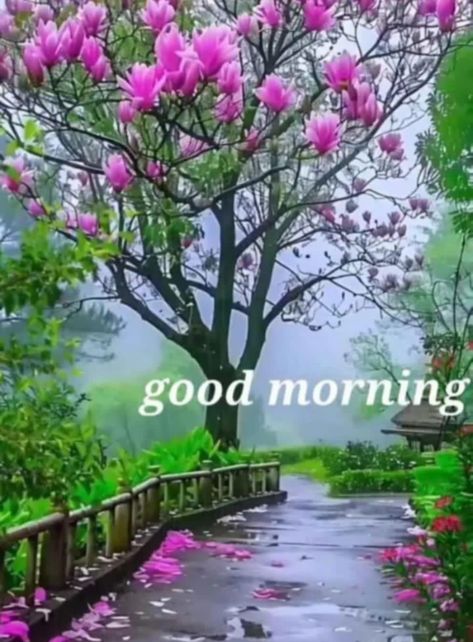 Good Morning With Flowers, Happy Monday Good Morning, Monday Good Morning Wishes, Monday Good Morning, Good Morning Wish, Good Morning Gif Images, Good Morning Monday Images, New Good Morning, Monday Images