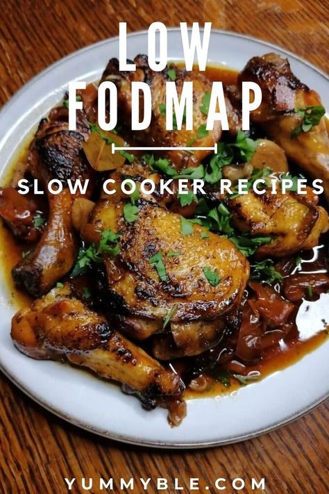 Fodmap Recipes Lunch, Chicken Over Mashed Potatoes, Low Fodmap Dinner, Low Fodmap Chicken Recipes, Fodmap Slow Cooker, Fodmap Chicken Recipes, Fodmap Dinner, Easy Low Fodmap, Pulled Chicken Tacos