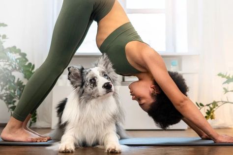 Puppy Yoga? What Is It and What Are the Benefits? Yoga is a great way to improve your strength and flexibility, but sometimes we can get a wee bit too serious about our yoga practice. It is easy to get caught up in yearning to achieve self-actualization, to fulfill our fullest potential, and to nail that chaturanga jump back. If you have been a yogi […] Puppy Yoga, Yoga Basics, Yoga Playlist, Yoga For Back Pain, Dog Yoga, Beginner Yoga, Basic Yoga, Yoga Retreats, Yoga Therapy