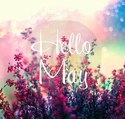 Hello May Pictures, Photos, and Images for Facebook, Tumblr, Pinterest, and Twitter Hello May Quotes, Welcome May, May Quotes, Seasons Months, Hello May, Fb Covers, Seasons Of The Year, New Month, Jolie Photo