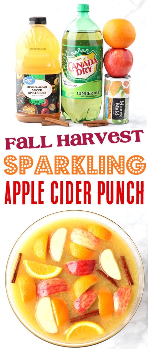 Sparkling Apple Cider Punch Recipe! {4 Ingredients} - The Frugal Girls Fall Harvest Sparkling Apple Cider Punch, Sparkling Fall Cocktails, Fall Wedding Punch Recipes, Sparkling Cider Non Alcoholic, Fall Wedding Punch Recipes Non Alcoholic, Apple Cider Ideas, Sparkling Apple Cider Non Alcoholic, Apple Punch Recipes Non Alcoholic, Apple Party Food