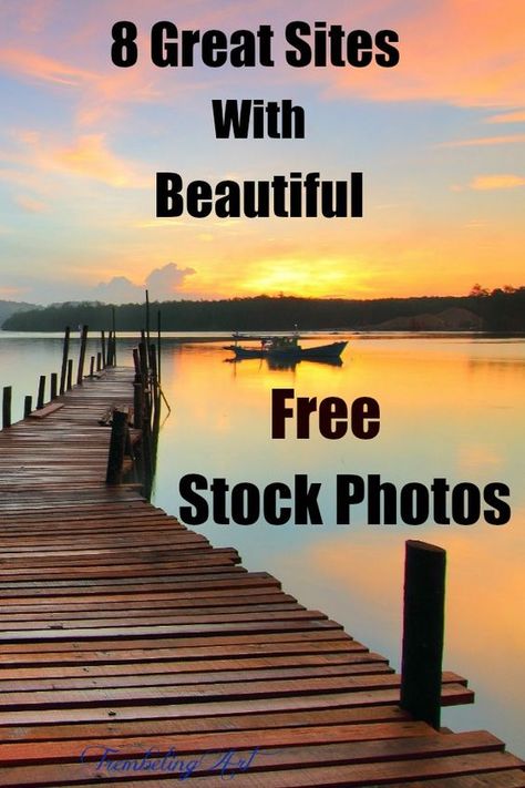 Free Landscape Photos, Reference Photos For Artists, Seascape Photography, Design Fails, Photo Website, Photo Site, Landscape Pictures, Cool Landscapes, Stock Photography Free