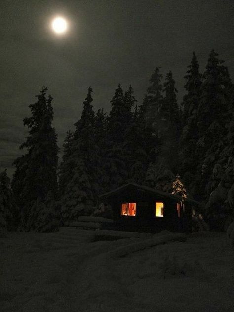 The Woods At Night, Woods At Night, A Cabin In The Woods, Lake Cabin, I Love Winter, Winter Cabin, Lake Cabins, A Cabin, Cabin In The Woods