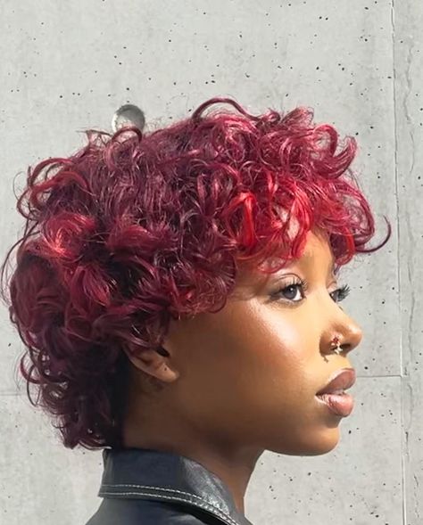 Wine Red Short Hair, Androgynous Curly Hair, Gender Euphoria, Short Natural Curly Hair, Dyed Curly Hair, Curly Pixie Haircuts, Short Red Hair, Red Curly Hair, Dyed Red Hair