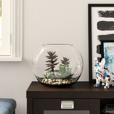 Round Glass Bowl Decor Ideas, Glass Bowl Decor Ideas Centerpieces, Glass Bowl Decor, Glass Fish Bowl, Bowl Decor, Goldfish Bowl, Beautiful Terrariums, Wooden Dough Bowl, Table Decor Living Room