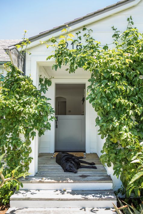 Pure Salt Interiors, Pure Salt, Beach Bungalow, Modern Craftsman, Live In Style, Beach Bungalows, Coastal Design, California Beach, Beach Inspired