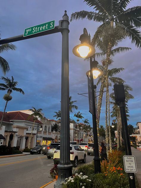 Street at Night 
Cars Life In Florida Aesthetic, Florida Neighborhood Aesthetic, Miami College Aesthetic, Florida Night Aesthetic, Florida Aesthetic Night, South Florida Aesthetic, Naples Florida Aesthetic, Florida Life Aesthetic, Miami Florida Aesthetic