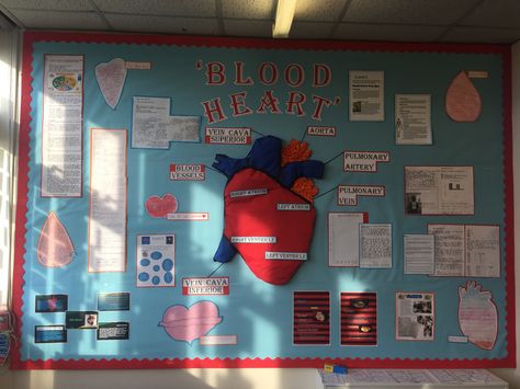 Biology Display Board, Biology Models, Human Body Science Projects, Heart Display, Display Boards For School, Mindset Bulletin Board, Science Display, Science Exhibition, Blood Heart