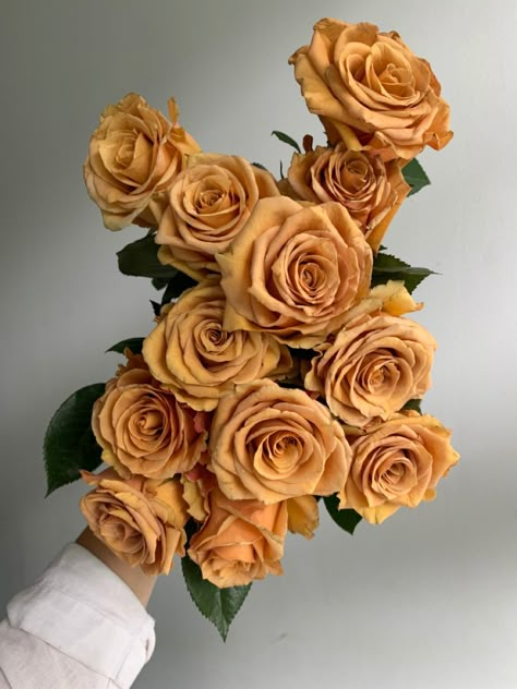 Colors And Their Meanings, Combo Rose, Rose Colors, Flower Varieties, Mustard Flowers, Wedding Flower Packages, Gold Roses, Rose Varieties, Flower Guide