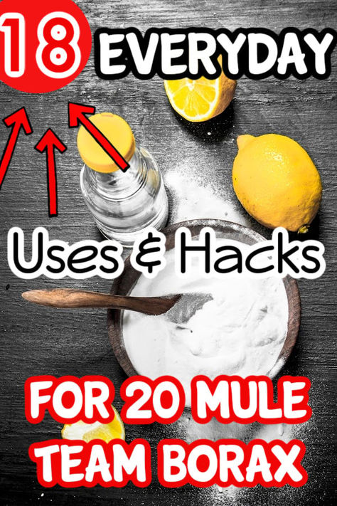 20 Mule Team Borax: 18 Every Day Uses Noodle Crafts, Borax Uses, Pool Noodle Crafts, Borax Powder, Setting Up A Budget, Pool Noodle, Money Saving Meals, Dryer Sheets, Budget Friendly Recipes