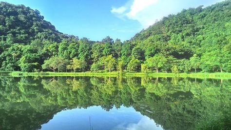 Escape to Serenity: Embark on a Tranquil Retreat in Cuc Phuong National Park High Biodiversity, Cuc Phuong National Park, Vietnam Travel Guide, Tourism Development, Tranquil Retreat, Nature And Wildlife, Ancient Tree, Nature Conservation, Wildlife Conservation