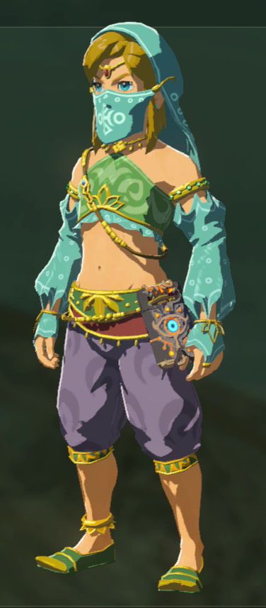 Gerudo Outfit, Desert Clothing, Desert Outfit, Wild Outfits, Popular Outfits, Contemporary Outfits, The Legend Of Zelda, Pic Ideas, Elegant Outfit