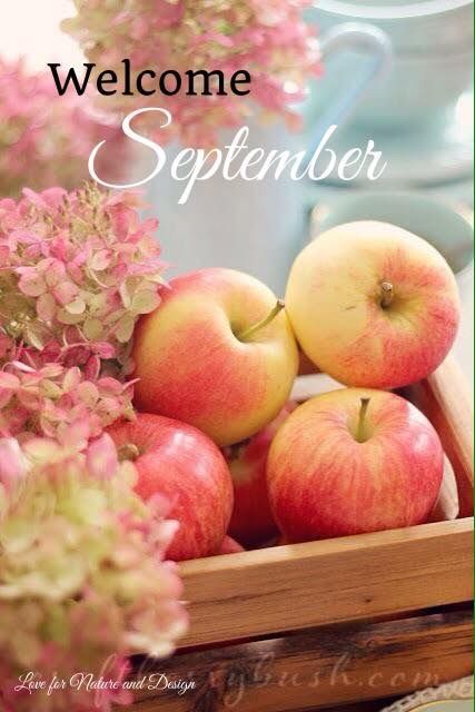 Welcome September, Apple Tea, Fruit Photography, Beautiful Fruits, Homemade Apple, Delicious Fruit, Apple Blossom, Fruit And Veg, Apple Tree