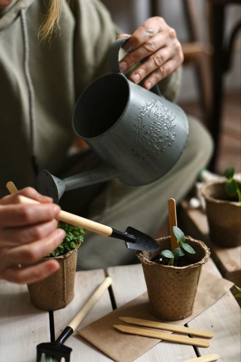 Urban Gardens, Shop Story, Urban Forest, Grow Kit, Garden Tool, Potting Shed, Garden Cottage, Slow Living, Urban Garden