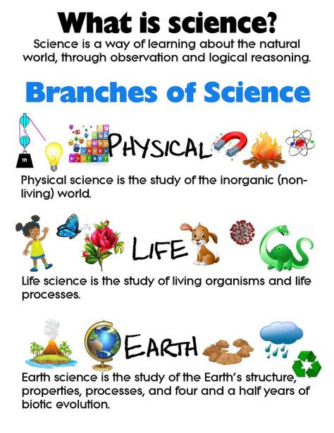 Physical Science Activities, Science Chart, Logic And Critical Thinking, Earth Science Lessons, Science Anchor Charts, Branches Of Science, Teaching Geography, First Grade Science, Primary Science