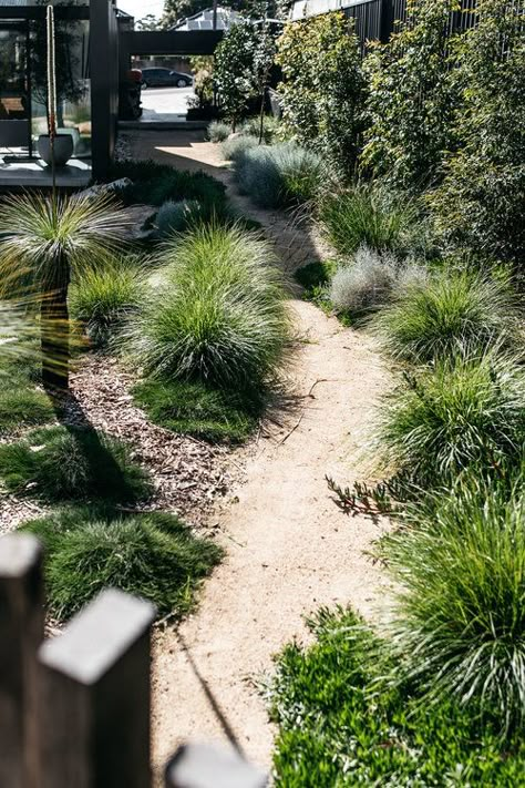 Australian Garden Design, Bush Garden, Australian Native Garden, Front Garden Design, Dry Garden, Australian Garden, Coastal Gardens, Casa Exterior, Sustainable Garden