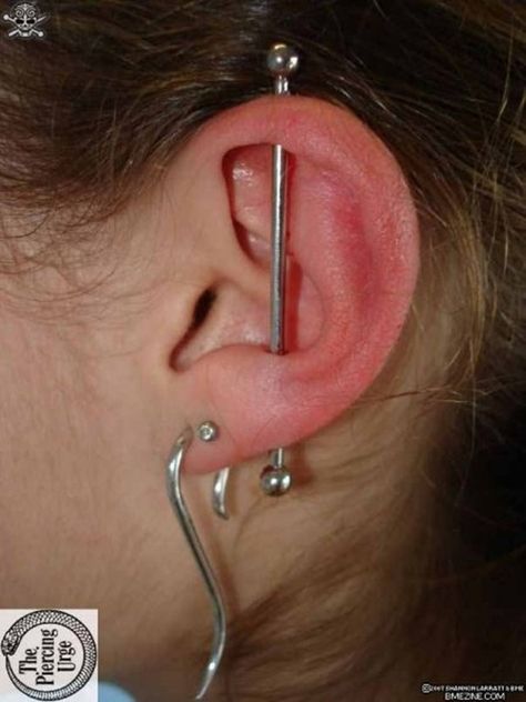 150+ Industrial Piercing Examples, Jewelry, Pain, Cost, Healing cool Vertical Industrial, Ear Piercings Industrial, Industrial Earrings, Ear Piercings Chart, Double Ear Piercings, Cool Ear Piercings, Cool Piercings, Industrial Jewelry, Piercings Unique