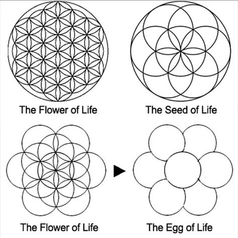 The flower of life symbol is a geometrical mathematical pa… | Flickr Nature Sacred Geometry, Sacred Geometry Universe, Flower Of Life Meaning, Egg Of Life, Sacred Geometry Flower Of Life, Flower Of Life Tattoo, Flower Of Life Symbol, Alien Life, Geometric Nature