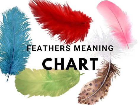 Feather Meanings Colour Chart and Guide | KarinasTarot.com Orange Feather Meaning, White Feather Meaning, Feather Color Meaning, Feather Meaning, Candle Color Meanings, Pennies From Heaven, Angel Feathers, Yellow Feathers, Coloured Feathers