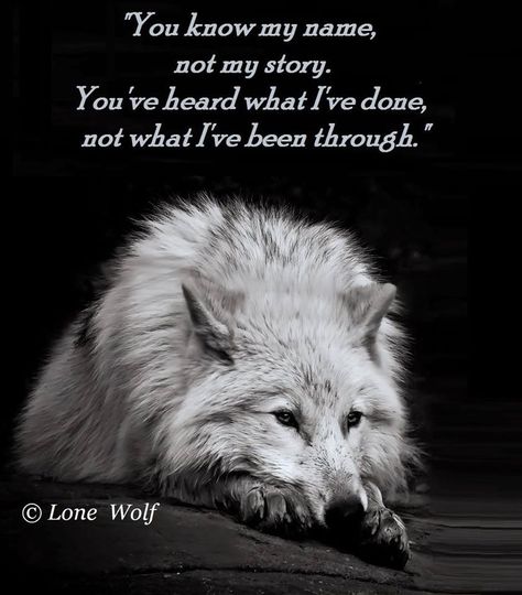 The Lone Wolf Lup Singuratic, Lone Wolf Quotes, Viking Quotes, Wolf Quotes, Wolf Spirit Animal, Wolf Love, She Wolf, Wolf Pictures, Wolf Spirit