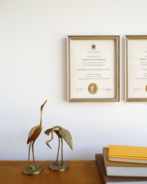 Love the way these whimsical brass birds play with our Certificate Frame in Antique Silver. Diploma And Certificate Wall, Framed Certificates Display, Certificate Frames On Wall, Degree Frame Ideas Wall Art, Degree On Wall, Office Certificate Wall Display, Degree Frame Ideas Office, Degree Wall Display Office, Framed Degree