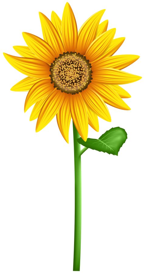 Clip Art Sun, Spring Flower Bouquet, Bouquet Images, Sunflower Clipart, Frame Border Design, Free Clipart Images, Flower Art Drawing, Sunflower Png, Clip Art Borders