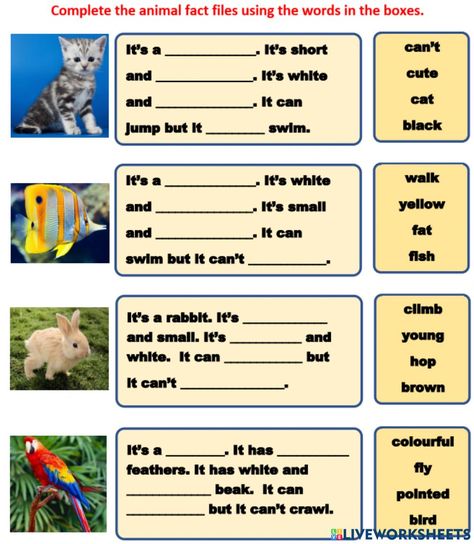 Animal Fact File, Fish Swimming, Animal Facts, Online Activities, School Subjects, Online Workouts, Google Classroom, 2nd Grade, English Language