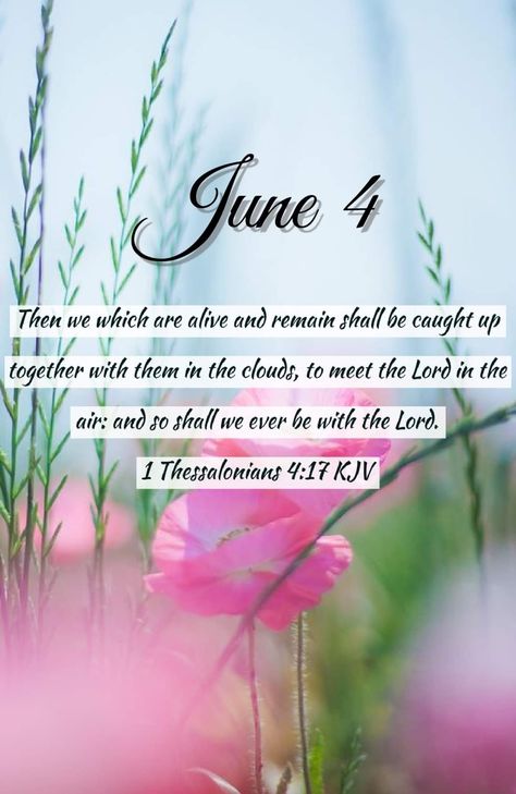 June Blessings, June Quotes, June Days, Blessings Quotes, Encouraging Bible Verses, Blessed Quotes, King James Bible, Morning Blessings, Good Morning Inspirational Quotes