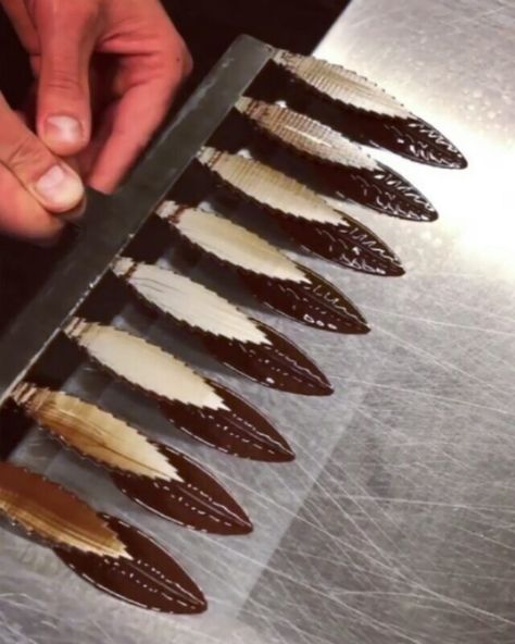 Pastry.Academy.Of.Elite 🇺🇸🇨🇭🇫🇷 on Instagram: “Chocolate Feathers by Chef @frankhaasnoot @frankhaasnootshop 🔥🔥🔥 #cakes #yummy #instagood #fan #tutorial #colourful #foodgasm #instacake…” Pastry, Chef, Cake, Color, Instagram