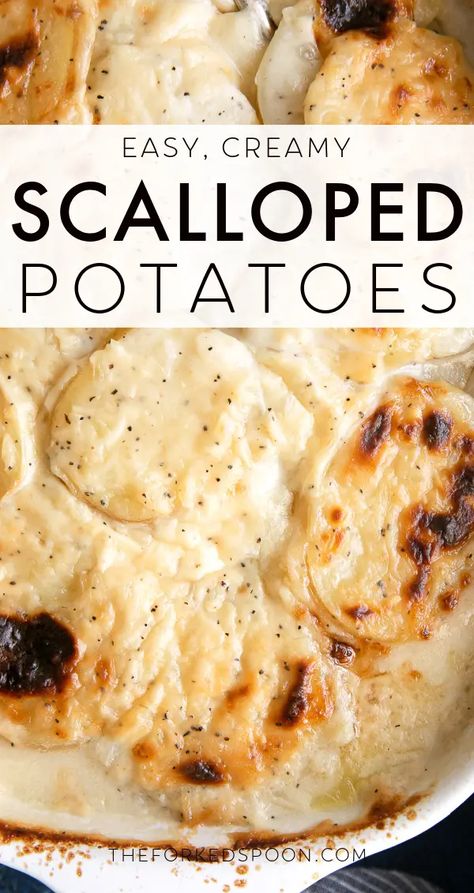 Scalloped Potatoes are an easy potato side dish made with thinly sliced potatoes and onions layered in a homemade cream sauce and baked until golden and bubbly. Enjoy this classic recipe with friends and family for Easter, Christmas, or Thanksgiving! Easy Scalloped Potatoes Recipe, Potato Side Dishes Easy, Creamy Scalloped Potatoes, Scalloped Potatoes Easy, Cheesy Scalloped Potatoes, Scalloped Potato, Scalloped Potatoes Recipe, Scalloped Potatoes Cheesy, Scalloped Potato Recipes