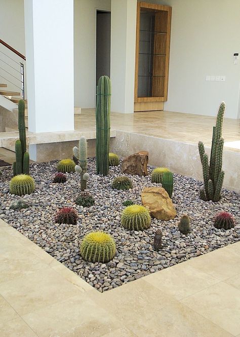 Cactus Flower Bed Front Yards, Jardin Cactus Exterior, Small Cactus Garden Outdoor, Cactus Front Yard Landscaping, Xeroscaping Backyard, Cactus Garden Outdoor, Succulent Front Yard Landscaping, Succulent Front Yard, Drought Tolerant Landscape Front Yard