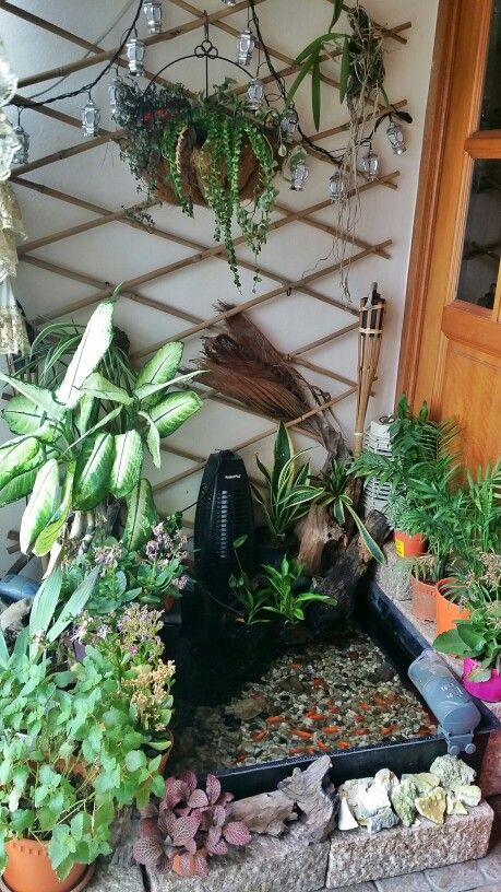 Indoor pond, small balcony, indoor plants Indoor Pond, Indoor Courtyard, Diy Balcony, Diy Garden Fountains, Apartment Decorating On A Budget, Small Backyard Gardens, Apartment Balcony Decorating, Garden Fountains, Balcony Design