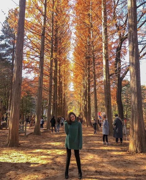 Nami Island Autumn, Nami Island, Korean Photo, Island Outfit, South Korea Travel, Japan Outfit, Photo Pose Style, Korea Travel, Online Poker