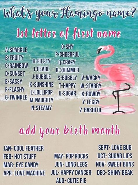 Wacky Cool Feather Summer Quotes Summertime, Flamingo Projects, Flamingos Quote, Flamingo Pictures, Flamingo Craft, Fancy Flamingo, Flamingo Theme, Flamingo Decor, Love Machine