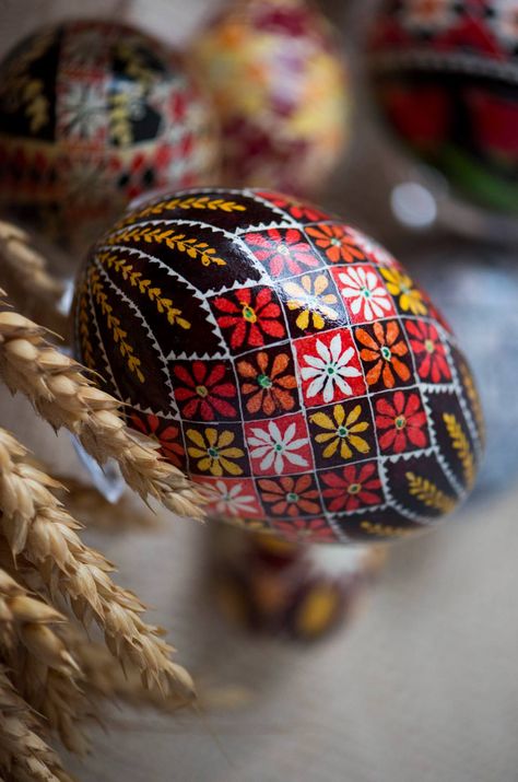 Pysanky Eggs Pattern Steps, Ukranian Easter Eggs, Ukrainian Eggs Patterns, Pysanky Eggs Pattern Ideas, Ukrainian Easter Eggs Patterns, Pysanky Eggs Pattern, Pysanky Egg, Art Ukraine, Polish Easter