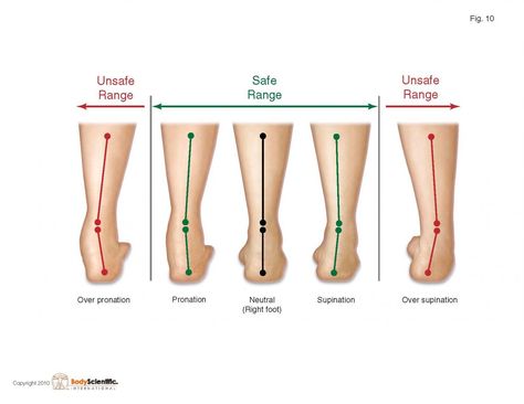 Supination vs. Pronation (plantar) Foot Exercises, Piriformis Syndrome, Shin Splints, Ehlers Danlos, Athletic Training, Sports Medicine, Foot Pain, Knee Pain, Chiropractic