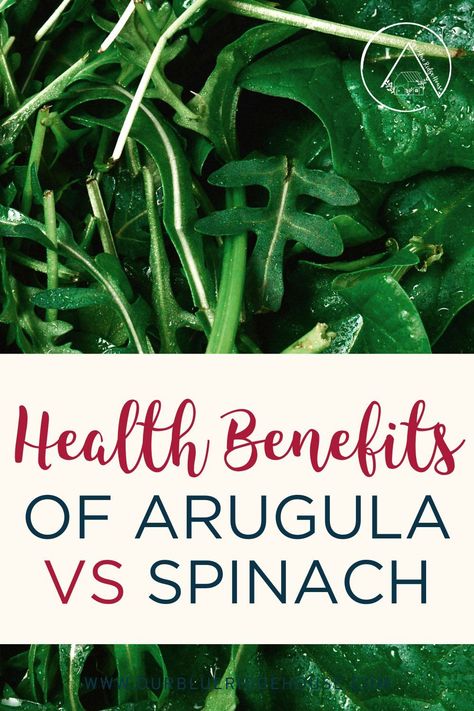 health benefits of arugula vs spinach leafy greens Arugula Benefits, Benefits Of Arugula, Plant Based Whole Foods, Leafy Greens, Arugula, Blue Ridge, Health Benefits, Whole Food Recipes, Spinach