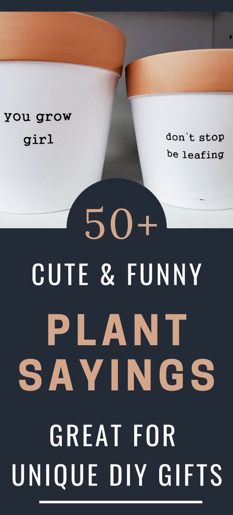 Diy Decorative Pots For Plants, Plant Pot Puns, Funny Plant Pot Sayings, Plant Puns Pots, Quotes For Plant Pots, Funny Plant Markers, Cricut Planter Ideas, Funny Planter Sayings, Plant Sayings Funny