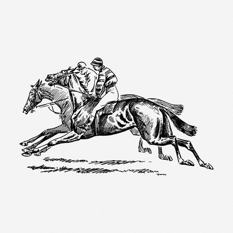 Jockey riding drawing, horse vintage illustration. Free public domain CC0 image. | free image by rawpixel.com Race Horse Drawing, Horse Riding Illustration, Riding Drawing, Racing Drawing, Ride Drawing, Drawing Horse, Horse Jockey, Horse Running, Horse Vintage