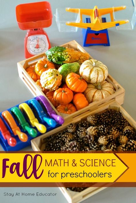 Fall Math and Science Center for Preschoolers - Teach your preschooler all how measurement and science with the nature based fall science and math center. Fall Science Center, Science For Preschoolers, Math And Science Activities, Science Center Preschool, Autumn Preschool Theme, Science Area, Fall Science, Science Concepts, Fall Centers