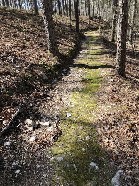 home_page_hit_the-trail_pic Thru Hiking, Ozark Trail, Places On Earth, Hiking With Kids, Hiking Tips, View Map, On Earth, Instagram Sign, Trip Planning