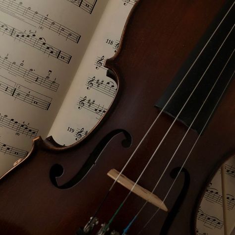 Music Prodigy Aesthetic, Fiddle Aesthetic, Prodigy Aesthetic, Violin Aesthetic, Violin Design, Violin Music, The Infernal Devices, Music Aesthetic, Violinist