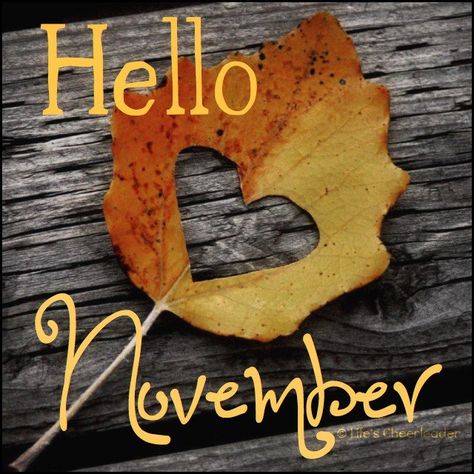 Happy November 1st! November Images, Neuer Monat, Welcome November, Sweet November, Happy November, Hello November, November Month, November Birthday, Jelly Belly