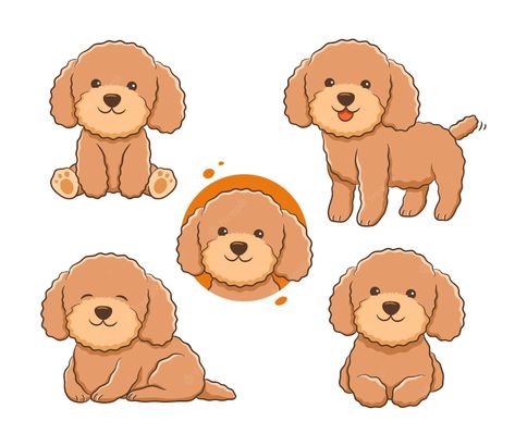 Premium Vector | The collection of cute poodle illustration in many poses Poodle Illustration, Poodle Drawing, Dog Design Art, Cute Poodle, Puppy Room, Cartoon Art Drawing, Red Poodles, Puppy Drawing, Teddy Dog