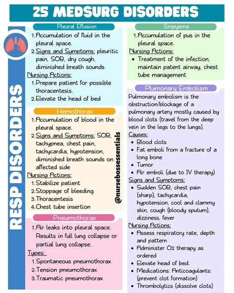 Med Surg Respiratory System, Respiratory System Disorders, Respiratory Nursing, Pharmacology Nursing Study, Medical Essentials, Nursing Math, Nursing School Studying Cheat Sheets, Respiratory Disorders, Nurse Study