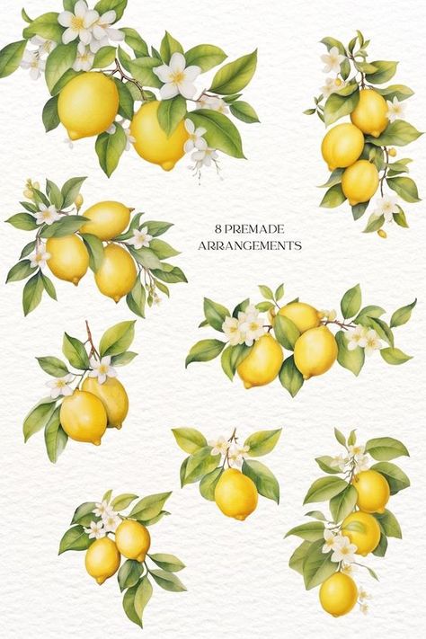 #CreativeClipart #ClipartCollection #DigitalArtElements #ClipartForDesigners #GraphicResources #ClipartSet #PrintableClipart #DigitalDownloadArt #ArtForCreators #DIYClipart Lemon Scrapbook Ideas, Lemon Design Art, Lemons Watercolor Painting, Vintage Lemon Wallpaper, Lemon Aesthetic Art, Lemon Art Paintings, Lemons Watercolor, Lemon Prints, Lemons And Flowers