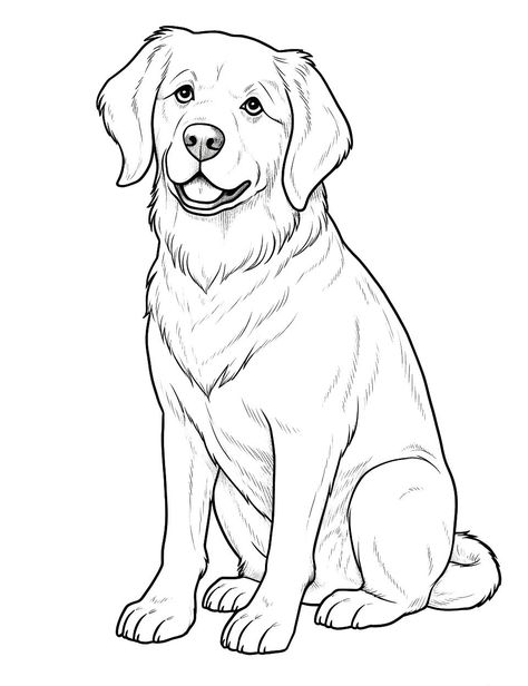 Realistic Golden Retriever: A coloring page that showcases a realistic depiction of a Golden Retriever, sitting and looking off into the distance. (Free Printable Coloring Page for Kids) Golden Retriever Sketch, Golden Retriever Colors, Golden Retriever Drawing, Poodle Drawing, Dog Caricature, Dog Drawing Simple, Dog Sketch, Dog Coloring Page, Coloring Page Ideas