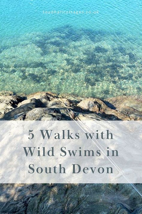 Wild Swimming, South Devon, Hams, Sandy Beaches, Devon, Walking, Swimming, History, Travel