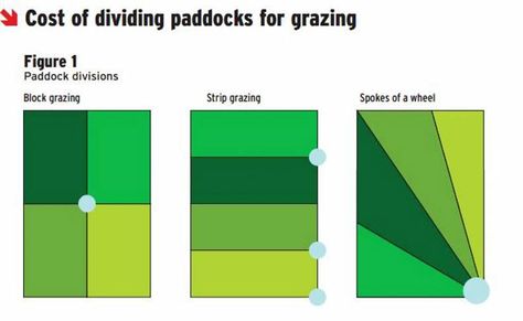 https://www.farmersjournal.ie/setting-up-a-paddock-grazing-system-179820 Keyline Design, Cattle Housing, Sheep Fence, Rotational Grazing, Sustainable Homestead, Horse Shelter, Garden Pond Design, Homestead Ideas, Farm Plans