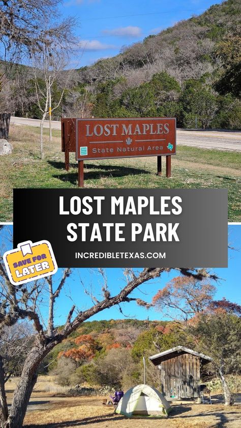 Lost Maples State Natural Area Lost Maples State Park Texas, Hikes In Texas, Lost Maples State Park, Garner State Park Texas, Texas Hiking Trails, Guadalupe River State Park Texas, Camping In Texas, State Park Camping, Texas State Parks